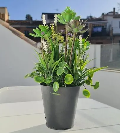 Appartement Atico Corazones *