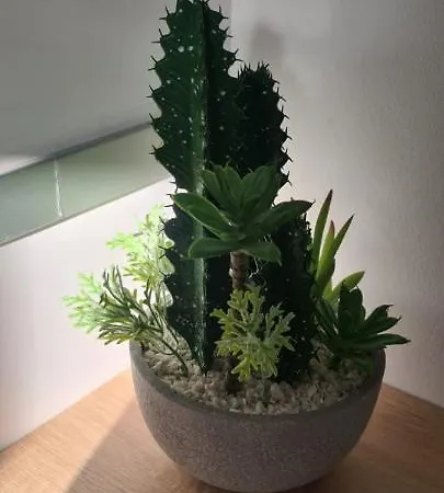 Atico Corazones Appartement Grenade