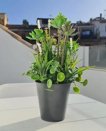 Appartement Atico Corazones *